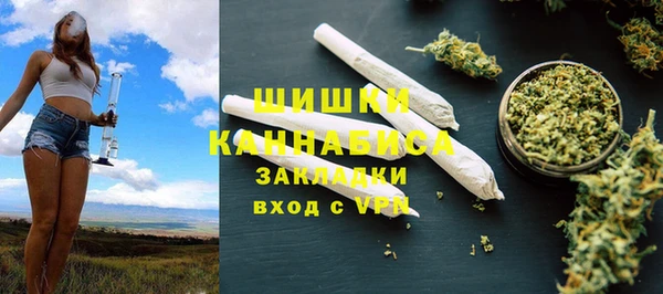 ГАЛЛЮЦИНОГЕННЫЕ ГРИБЫ Пестово